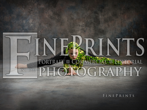 _1300409-Edit formlrs FinePrints