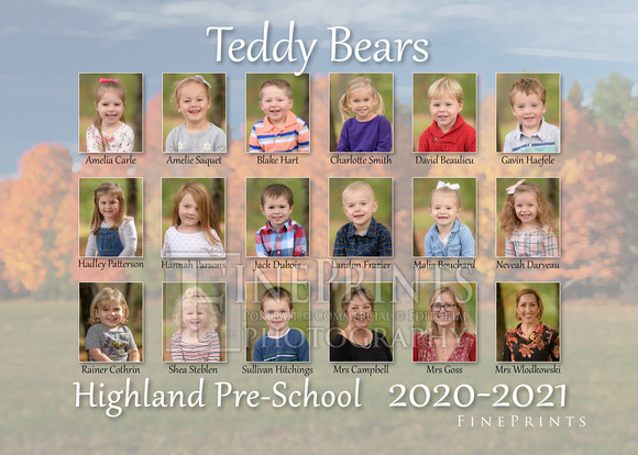 Teddy Bears Group