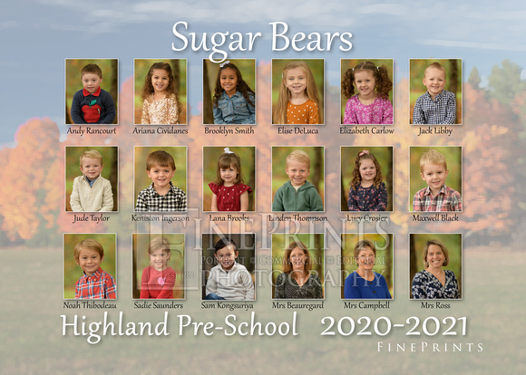 Sugar Bears Group
