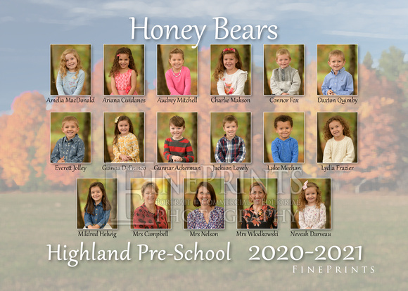 Honey Bears Group